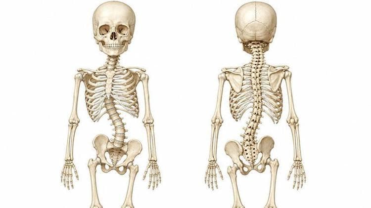 'Okul çantası ağırlığı çocuğun kilosunun yüzde 10'unu geçmemeli'