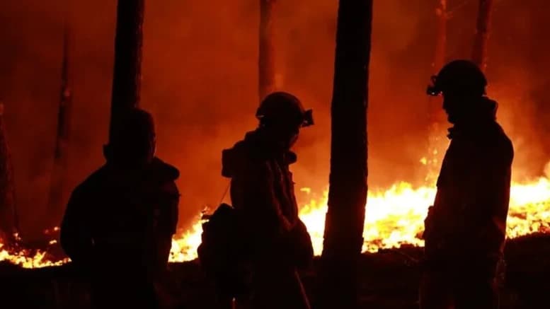 BELÇİKA'DA TARİHİ YANGIN: 1600 HEKTAR KÜL OLDU