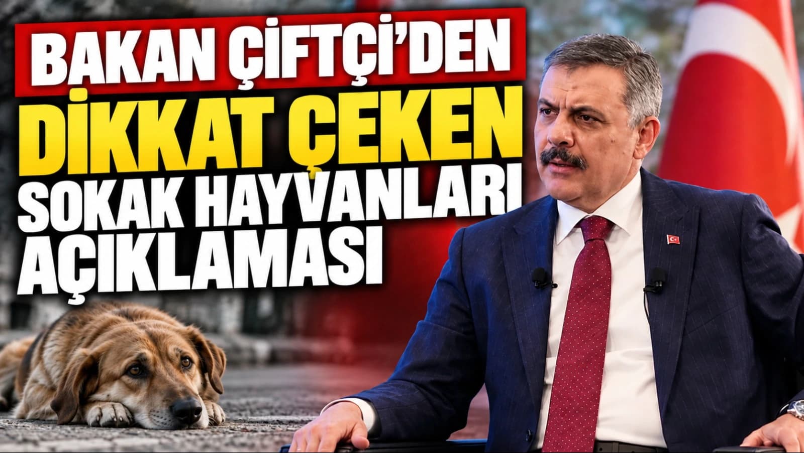 Bakan Çiftçi’den dikkat çeken sokak hayvanları açıklaması