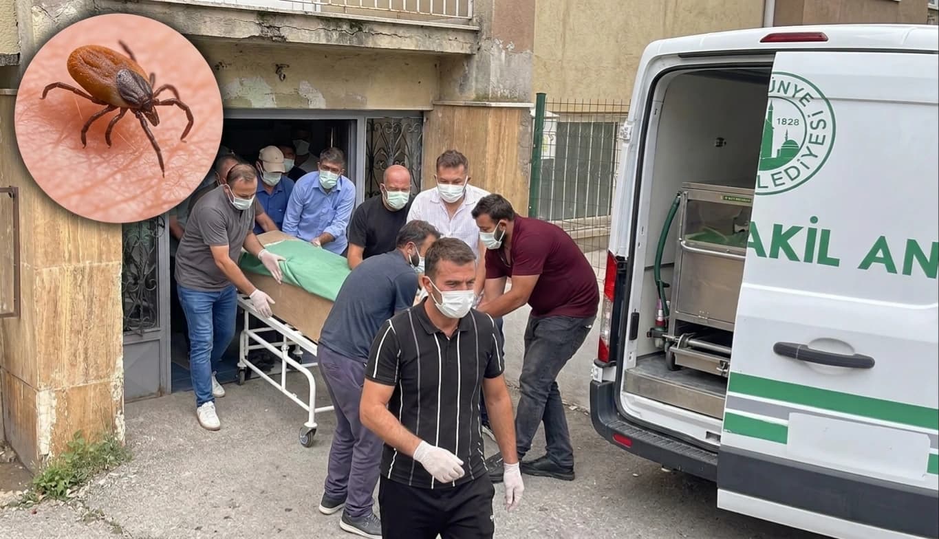 SİVAS'TA KENE KAYNAKLI ÖLÜMLER 13'E YÜKSELDİ