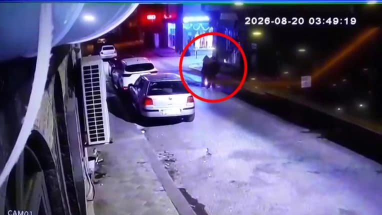 KOCAELİ'DE YÜREK YAKAN FACİA: ÜÇ KARDEŞ DENİZDE YAŞAMINI YİTİRDİ