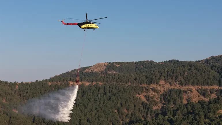 AYDIN'DA ÇIKAN ORMAN YANGINA MÜDAHALE SÜRÜYOR