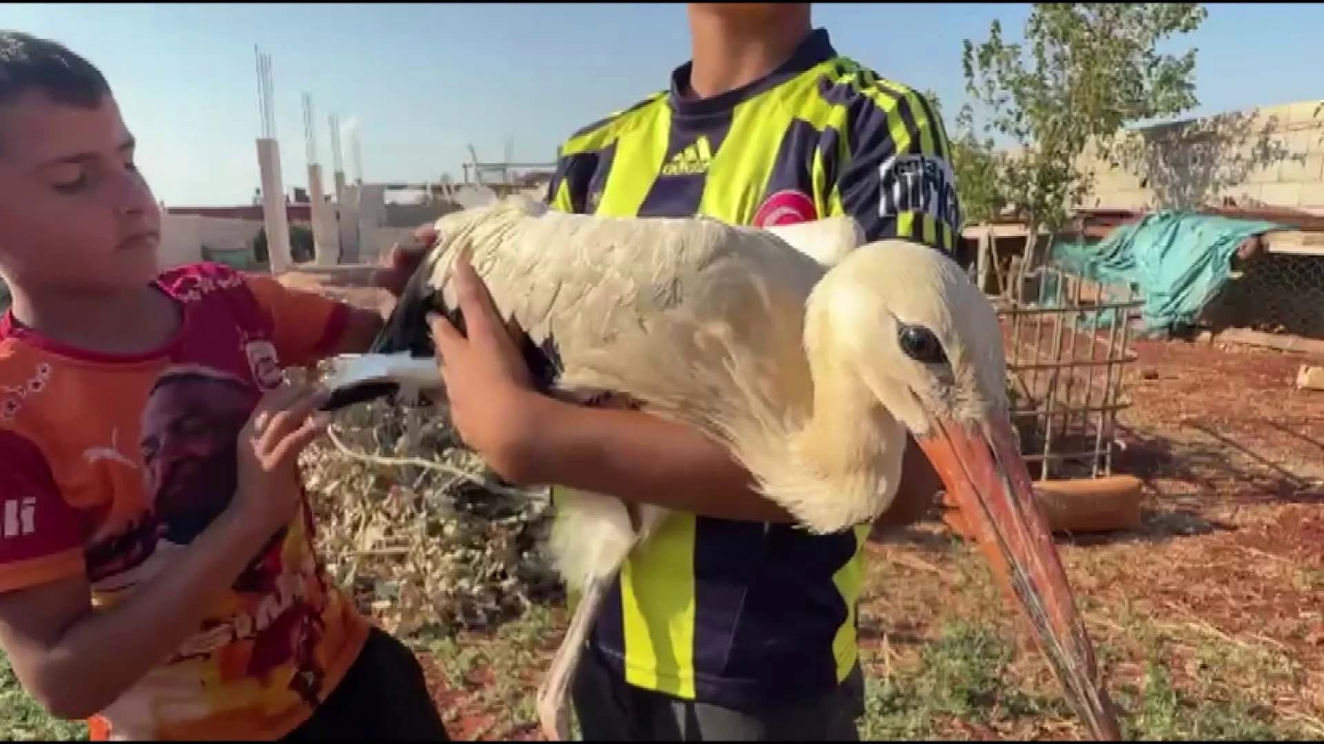 HATAY'DA YORGUN DÜŞEN LEYLEĞE ÇOCUKLAR SAHİP ÇIKTI