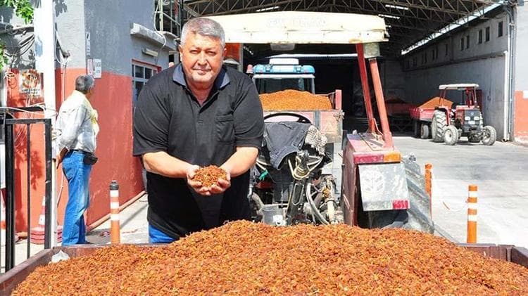 Üzüm alımına başlanan TMO önünde traktör kuyruğu