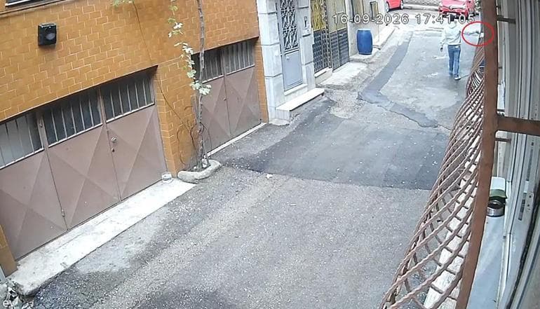 Kedilerin mama kaplarını çöpe atıp, sularını döken baba-oğul kamerada