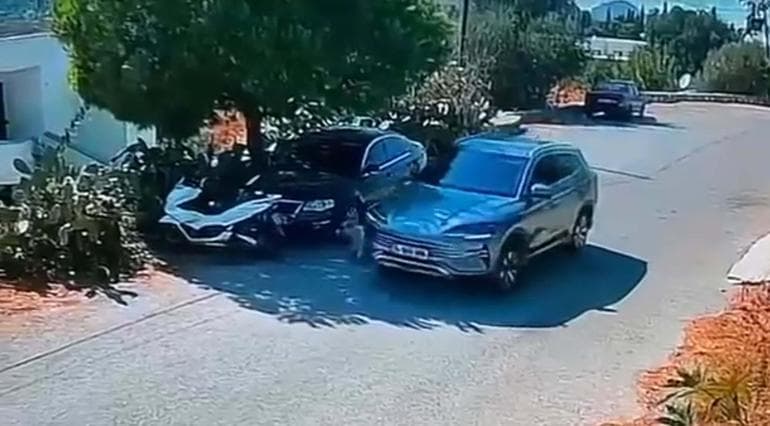 Bodrum'da otomobil, iki köpeğin üzerinden geçti; o anlar kamerada