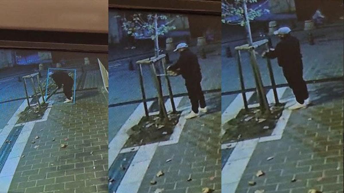 Fatih’te kuyumcunun önündeki ağacın kesildiği anlar kamerada