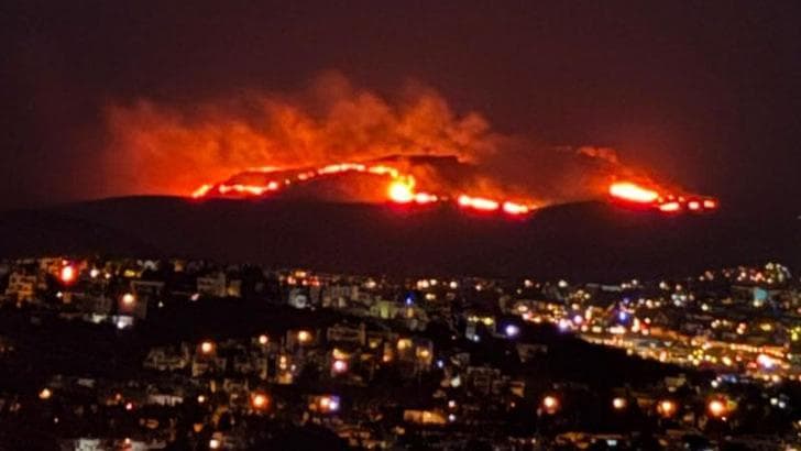 Bodrum’da maki ve ot yangını