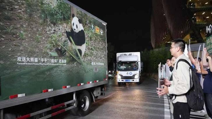 İki dev panda Çin’den ABD’ye yola çıktı