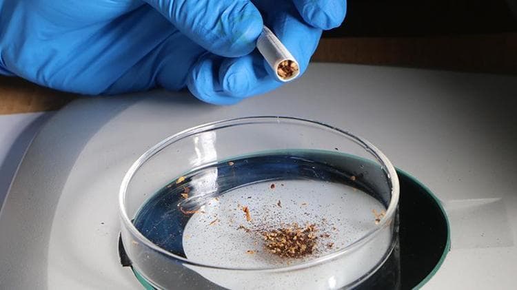 Her 10 sigara çeşidinin 9'unda mikroplastik çıktı