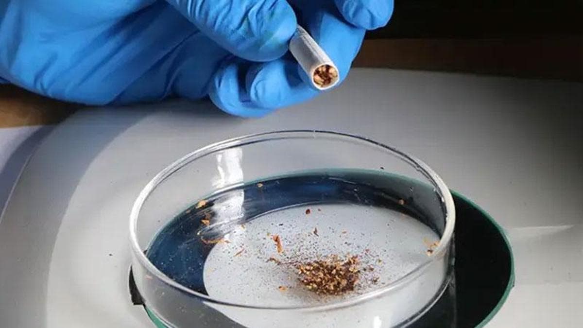 Her 10 sigara çeşidinin 9’unda mikroplastik çıktı