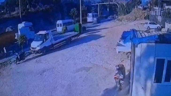 Bodrum'da TIR ile motosiklet çarpıştı, 1 ölü