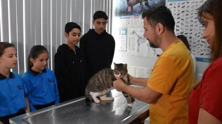 Ortaokul öğrencileri, yaralı kedi 'Kurabiye'nin tedavisi için harçlıklarını biriktirdi